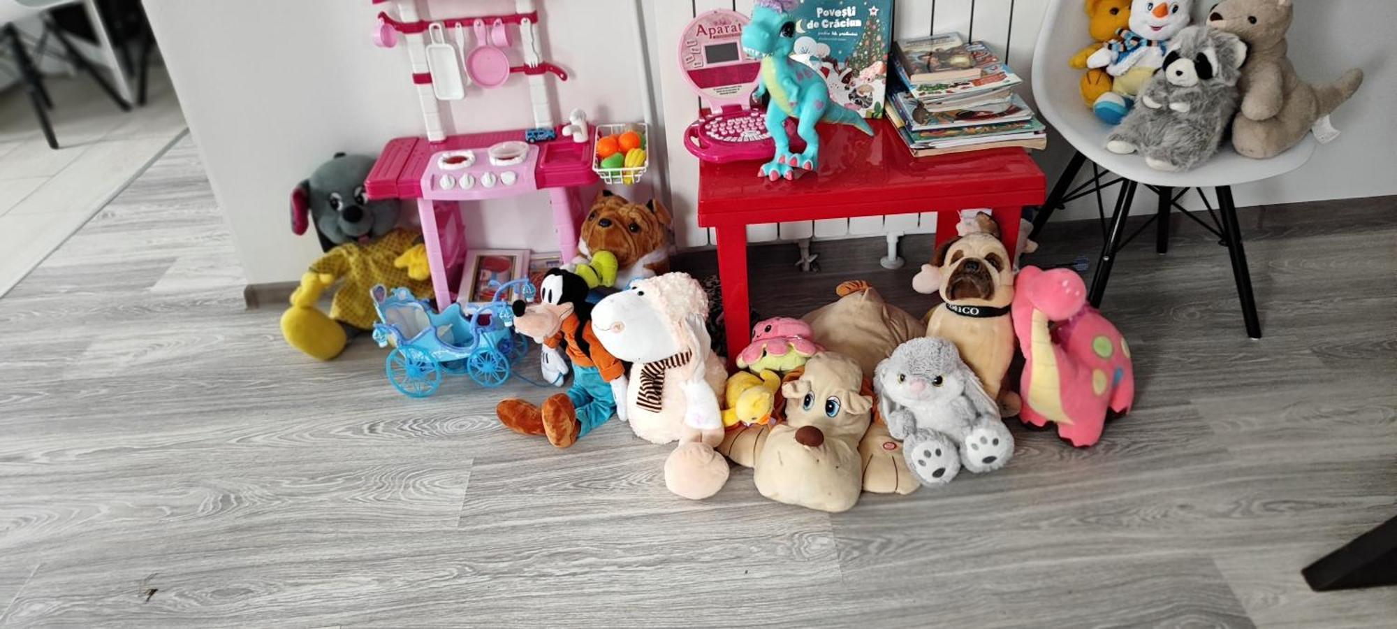 Vila Raisa Neagra Sarului Buitenkant foto