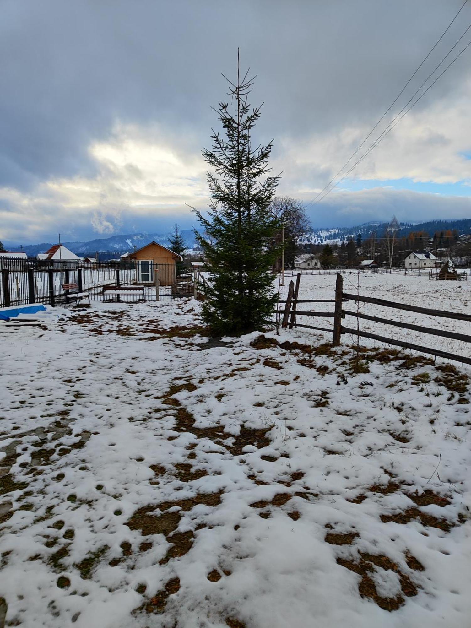 Vila Raisa Neagra Sarului Buitenkant foto