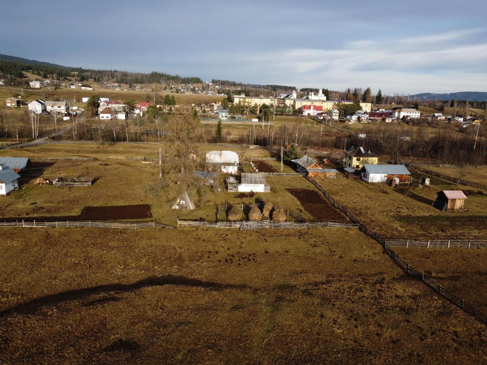Vila Raisa Neagra Sarului Buitenkant foto